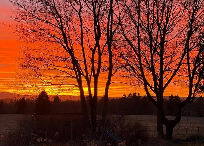 Вилла Castillo *